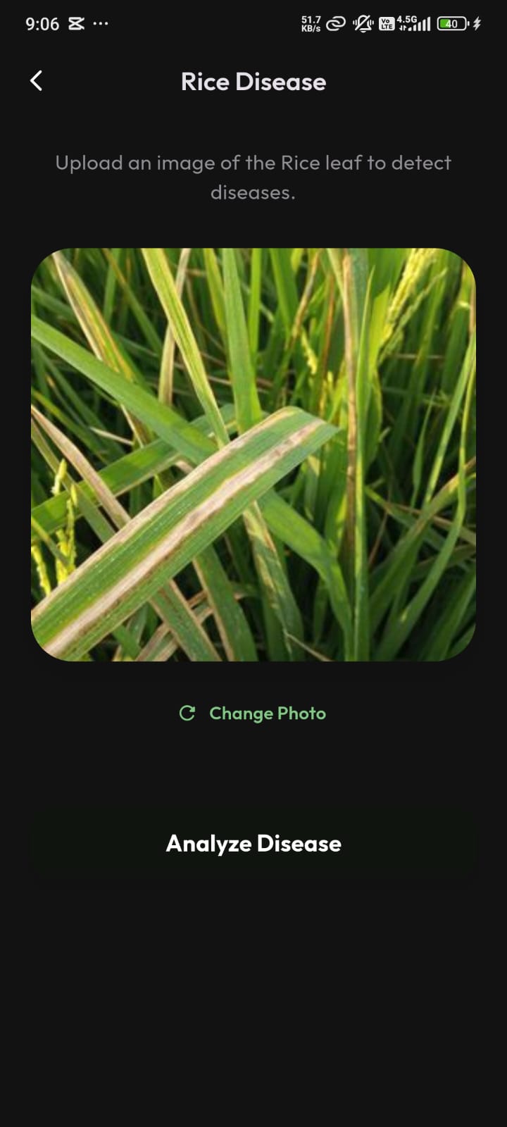 Crop Disease Detetction